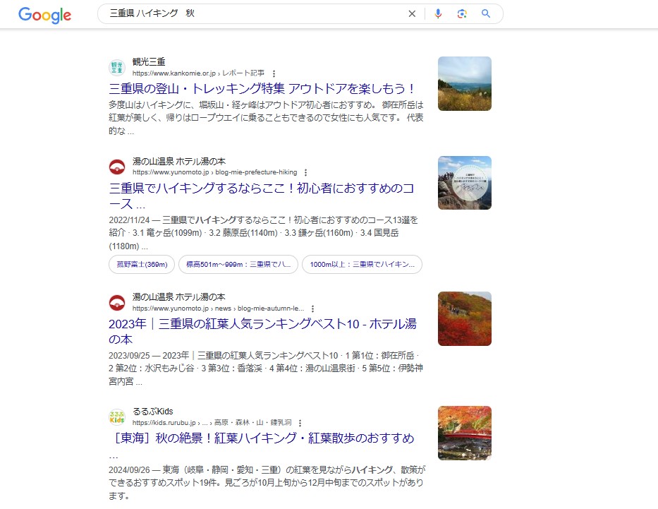 Google検索結果